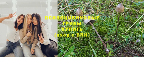 герыч Алексеевка
