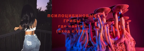 тгк Алексин