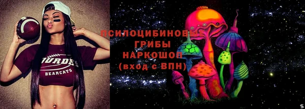 тгк Алексин